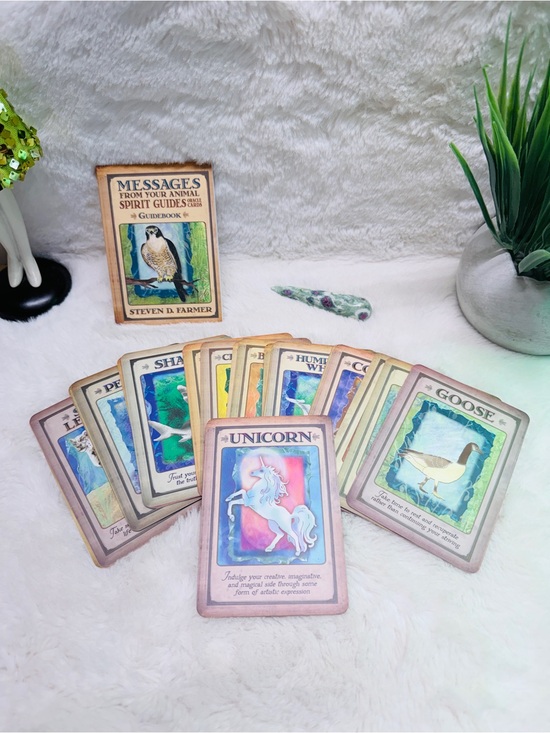 Other - Animal Spirit Guide Oracle Deck by John D Farmer Plus 3.5” Ruby In Fuchsite Wand